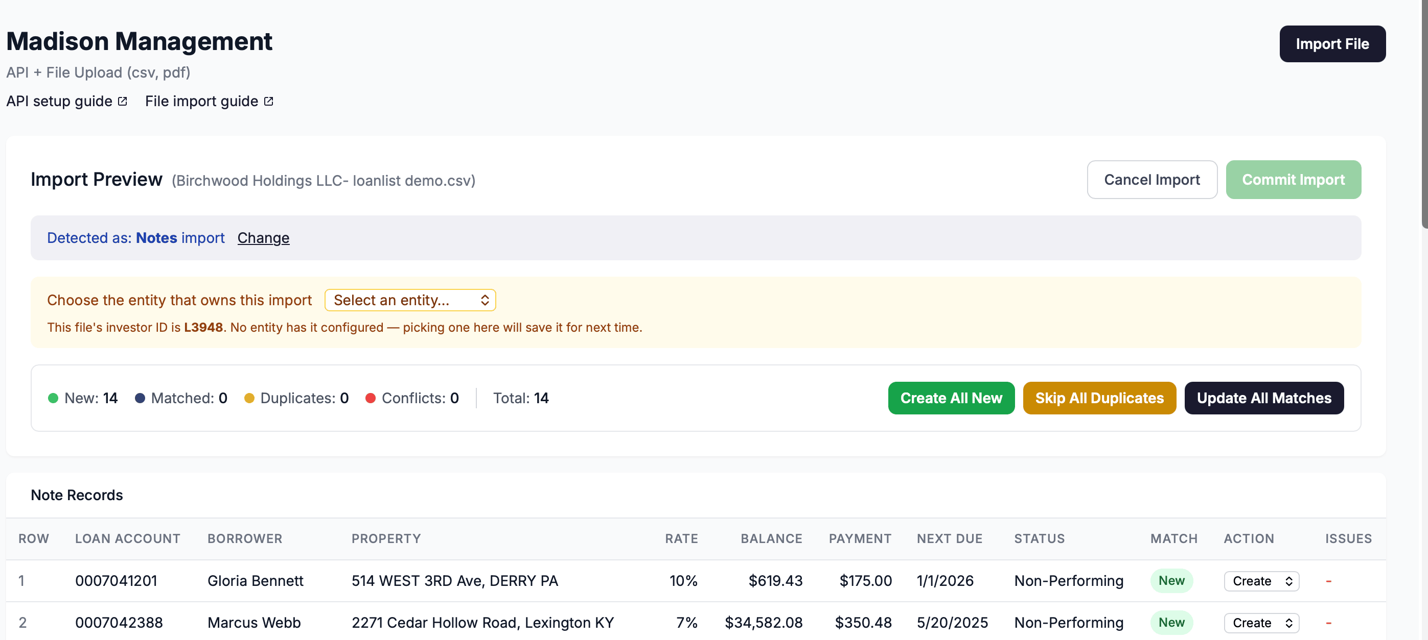 The Import Preview panel showing the auto-detected category banner, the preview table with Action dropdowns, and the entity selector